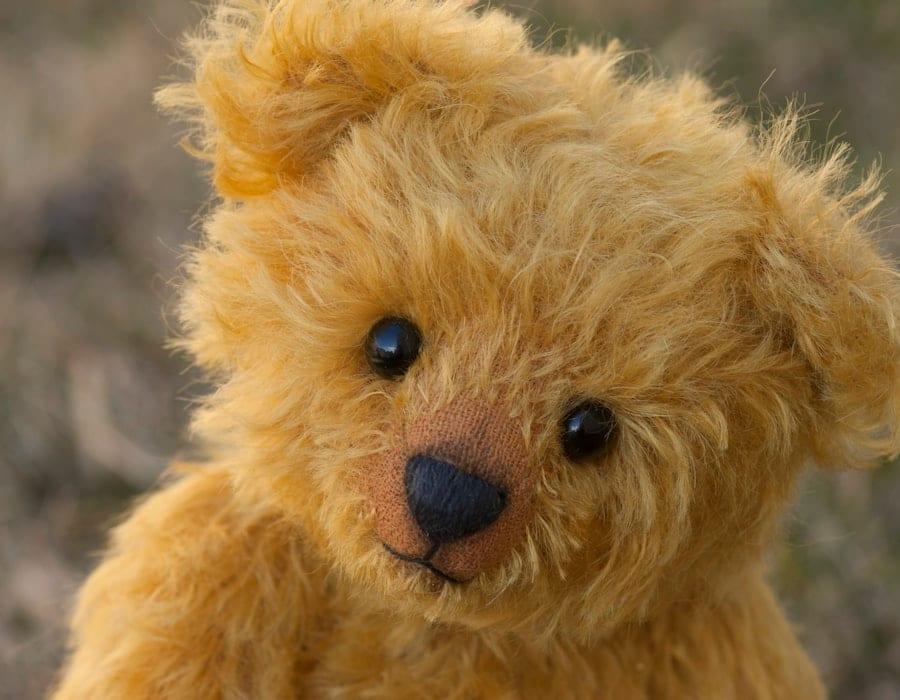 Soft Toys collection at Xpectra Media