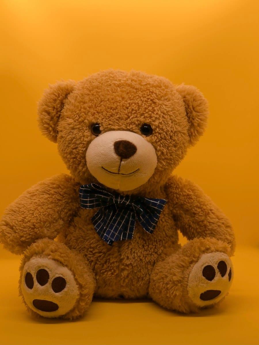 Classic Plush Teddy Bear, Embroidered features with no small parts